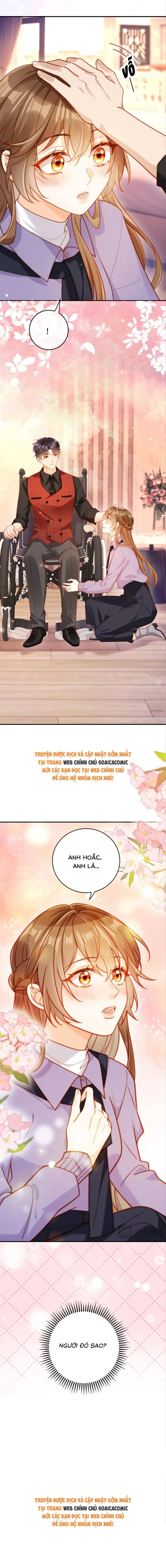Nụ Hôn Xung Hỉ: Đại Lão Thực Vật Sống Lại Rồi! Chapter 12 - Trang 13
