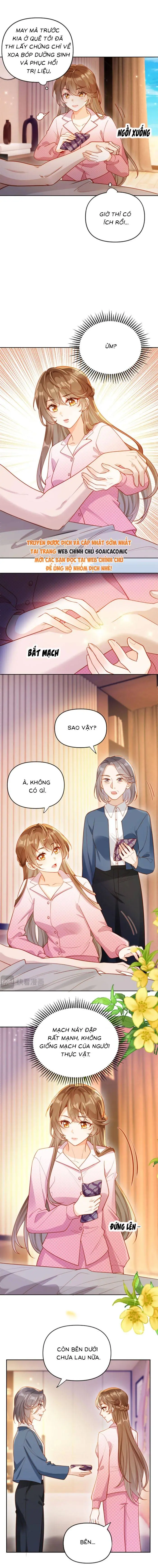 Nụ Hôn Xung Hỉ: Đại Lão Thực Vật Sống Lại Rồi! Chapter 2 - Trang 6