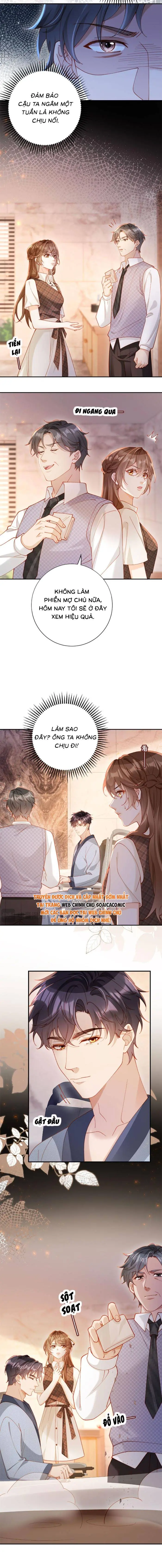 Nụ Hôn Xung Hỉ: Đại Lão Thực Vật Sống Lại Rồi! Chapter 23 - Trang 4
