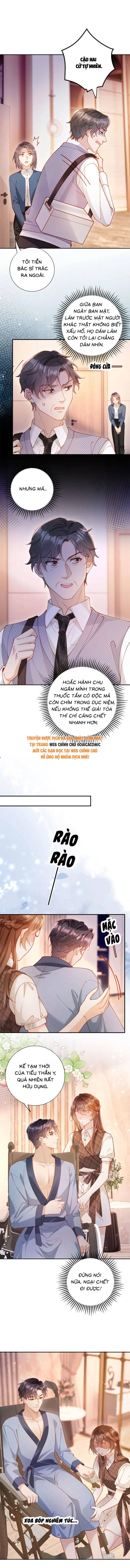 Nụ Hôn Xung Hỉ: Đại Lão Thực Vật Sống Lại Rồi! Chapter 23 - Trang 9