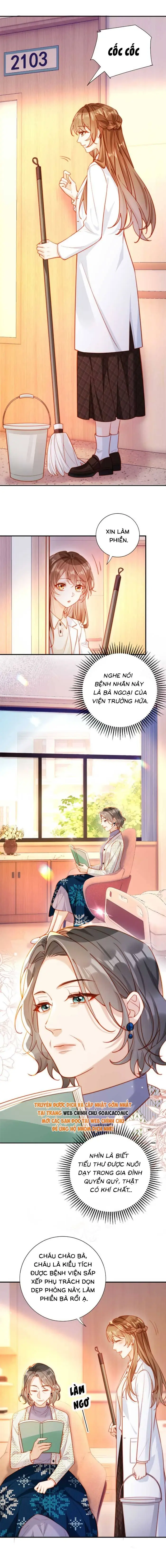 Nụ Hôn Xung Hỉ: Đại Lão Thực Vật Sống Lại Rồi! Chapter 25 - Trang 5