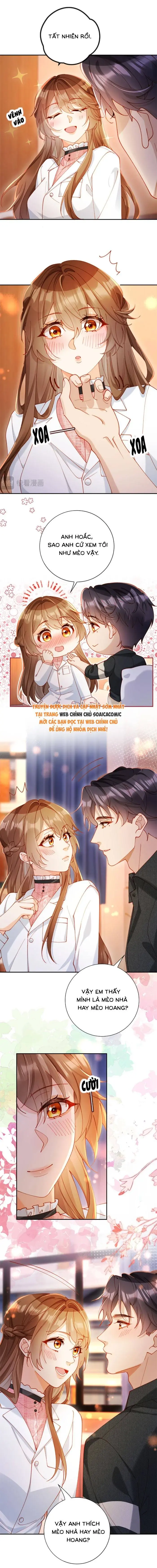 Nụ Hôn Xung Hỉ: Đại Lão Thực Vật Sống Lại Rồi! Chapter 29 - Trang 7