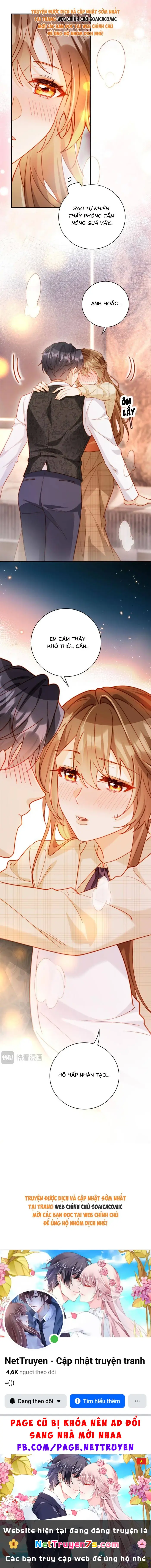 Nụ Hôn Xung Hỉ: Đại Lão Thực Vật Sống Lại Rồi! Chapter 40 - Trang 12