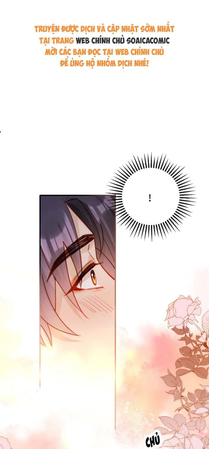 Nụ Hôn Xung Hỉ: Đại Lão Thực Vật Sống Lại Rồi! Chapter 41 - Trang 2