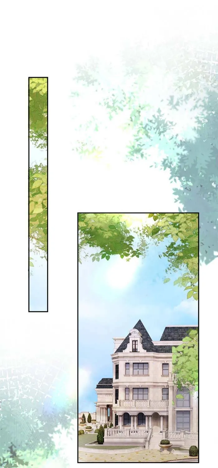 Nụ Hôn Xung Hỉ: Đại Lão Thực Vật Sống Lại Rồi! Chapter 41 - Trang 27