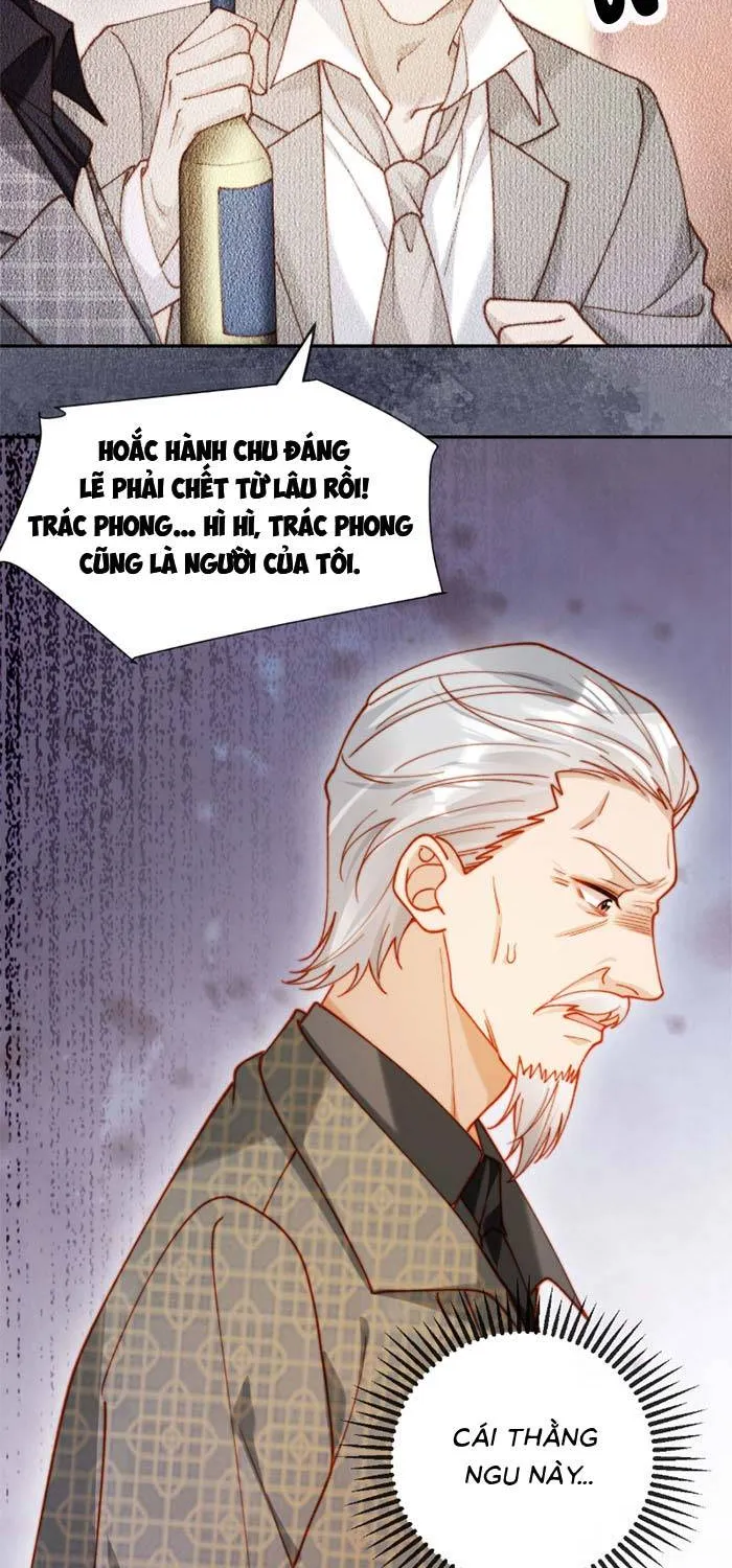 Nụ Hôn Xung Hỉ: Đại Lão Thực Vật Sống Lại Rồi! Chapter 42 - Trang 23