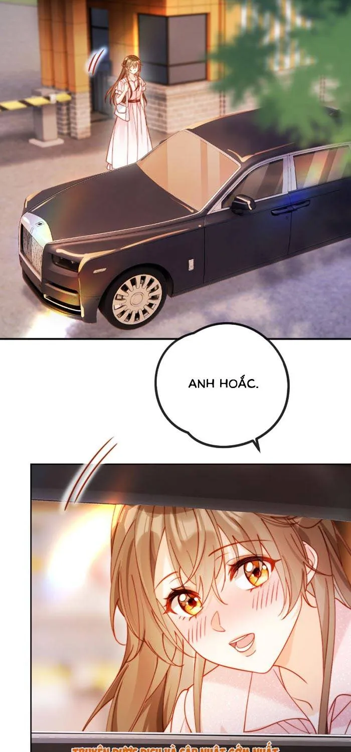 Nụ Hôn Xung Hỉ: Đại Lão Thực Vật Sống Lại Rồi! Chapter 52 - Trang 18