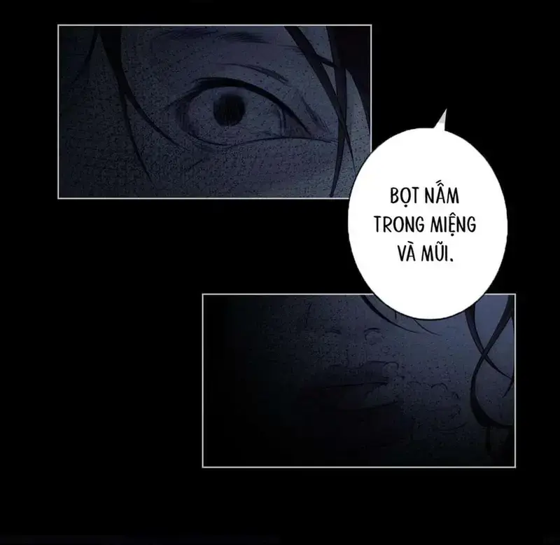 Nữ Pháp Y Thân Yêu Của Tôi - Pheromone Chapter 12 - Trang 9