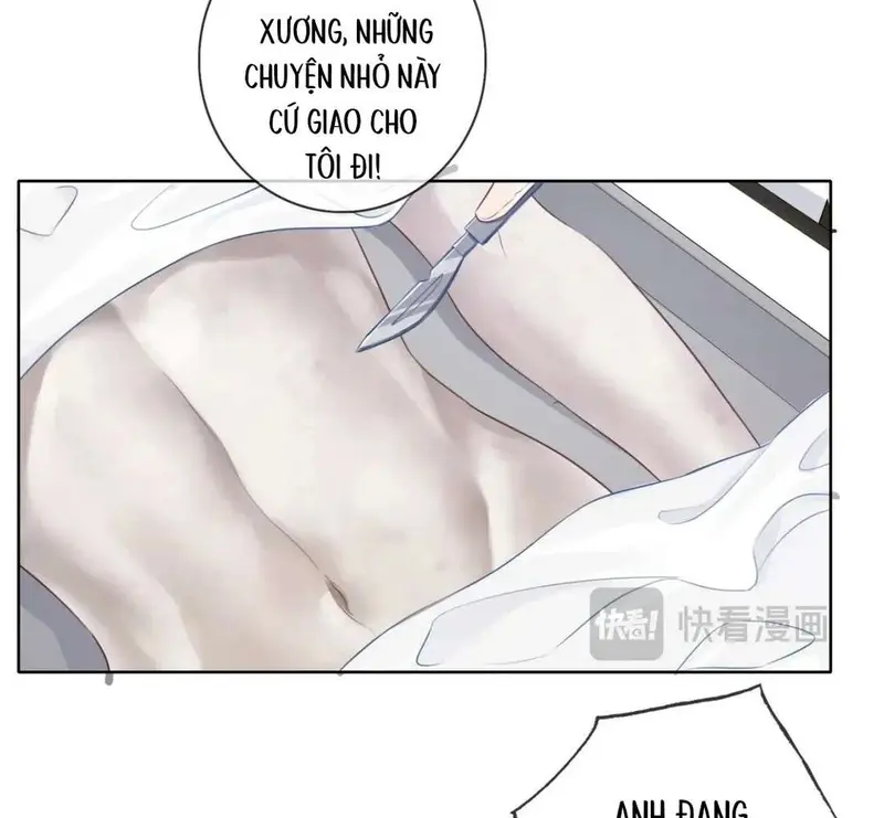 Nữ Pháp Y Thân Yêu Của Tôi - Pheromone Chapter 13 - Trang 19