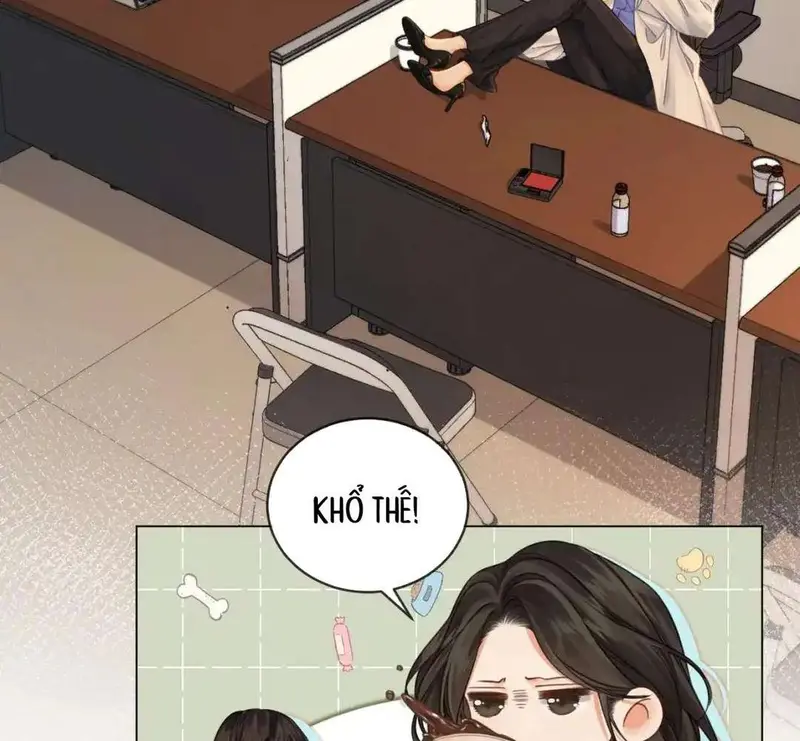 Nữ Pháp Y Thân Yêu Của Tôi - Pheromone Chapter 25 - Trang 5