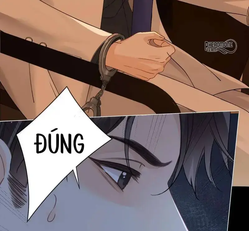 Nữ Pháp Y Thân Yêu Của Tôi - Pheromone Chapter 27 - Trang 43