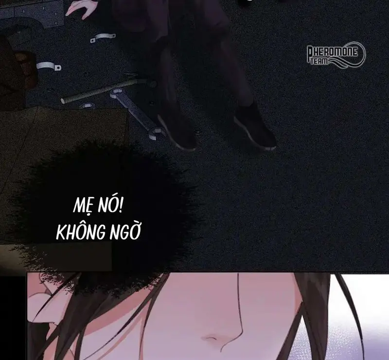 Nữ Pháp Y Thân Yêu Của Tôi - Pheromone Chapter 33 - Trang 31