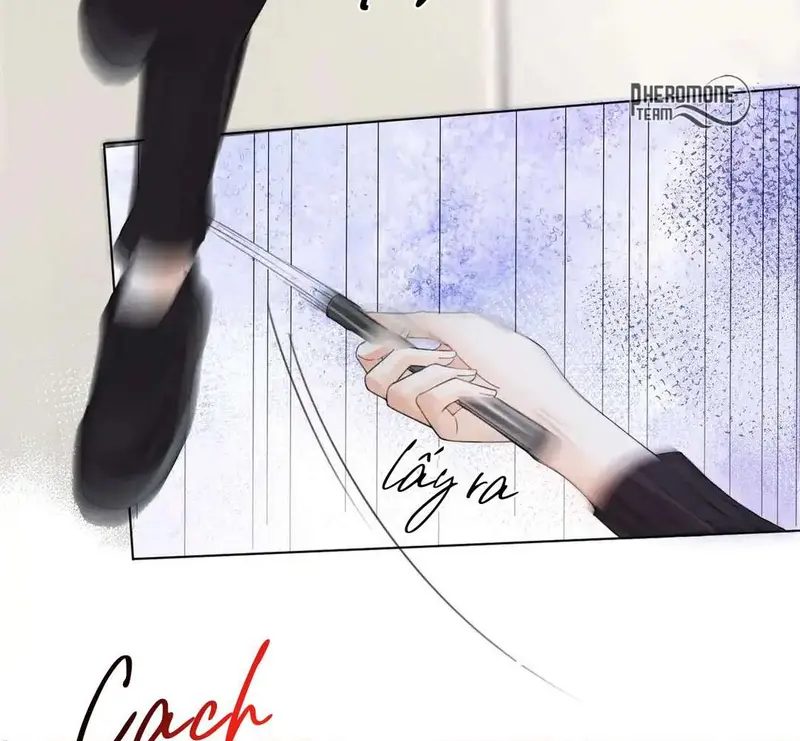 Nữ Pháp Y Thân Yêu Của Tôi - Pheromone Chapter 33 - Trang 7