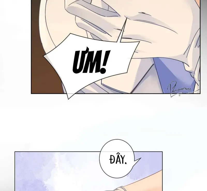 Nữ Pháp Y Thân Yêu Của Tôi - Pheromone Chapter 41 - Trang 28