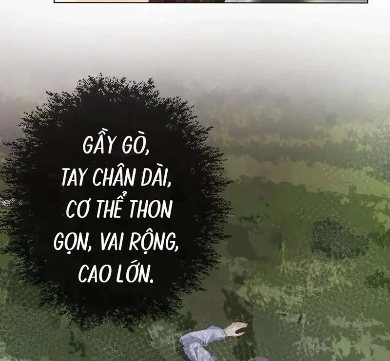 Nữ Pháp Y Thân Yêu Của Tôi - Pheromone Chapter 65 - Trang 36