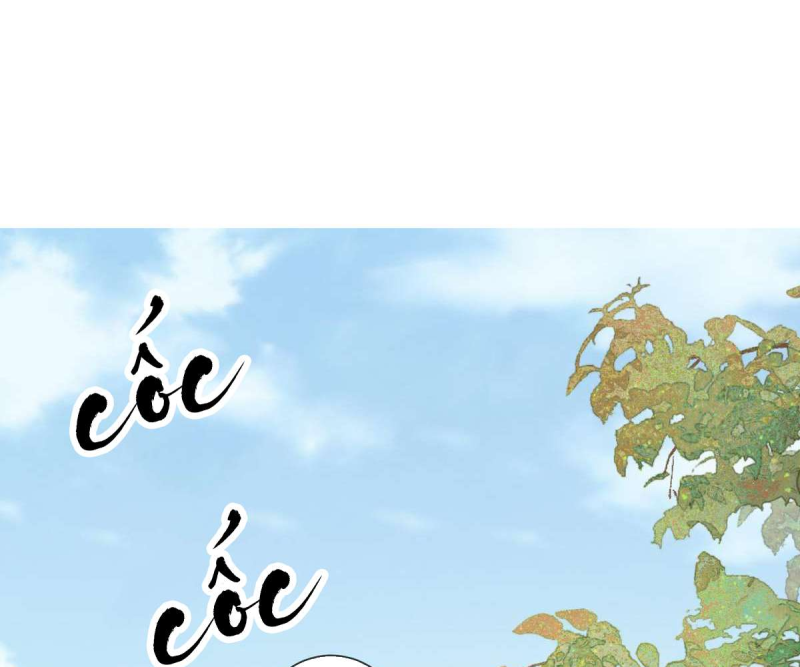 Nữ Pháp Y Thân Yêu Của Tôi - Pheromone Chapter 73 - Trang 3