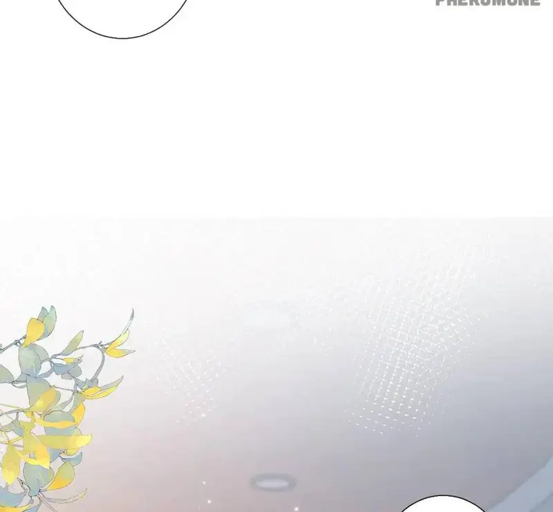 Nữ Pháp Y Thân Yêu Của Tôi - Pheromone Chapter 89 - Trang 45