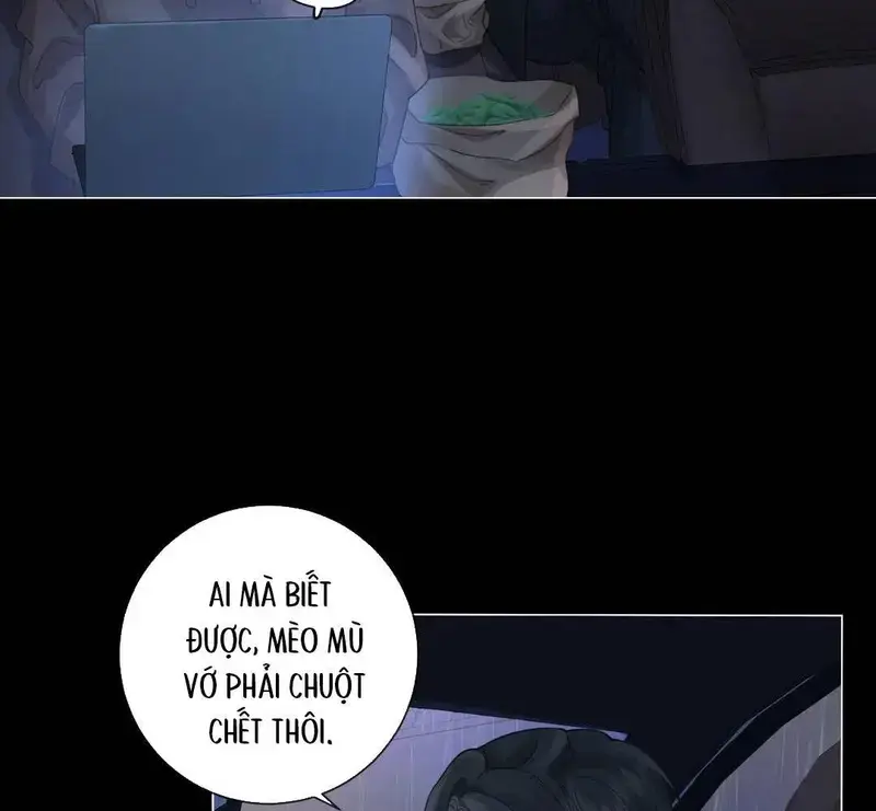 Nữ Pháp Y Thân Yêu Của Tôi - Pheromone Chapter 92 - Trang 7