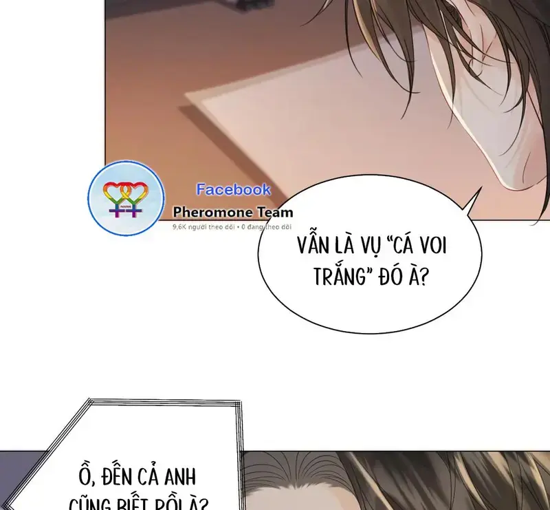 Nữ Pháp Y Thân Yêu Của Tôi - Pheromone Chapter 97 - Trang 24