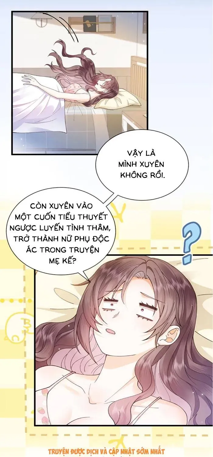 Nữ Phụ Ác Độc Không Muốn Diễn Nữa Chapter 1 - Trang 14