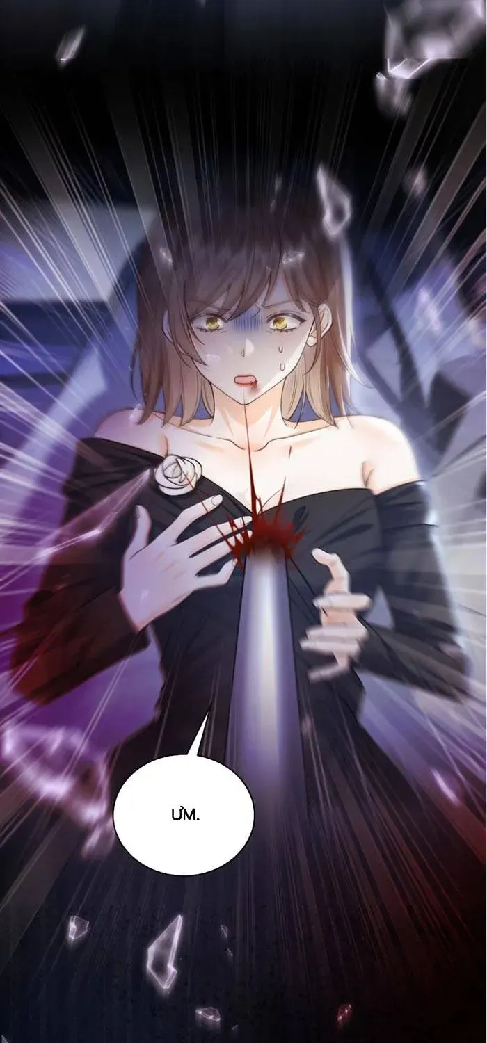 Nữ Phụ Ác Độc Không Muốn Diễn Nữa Chapter 1 - Trang 7
