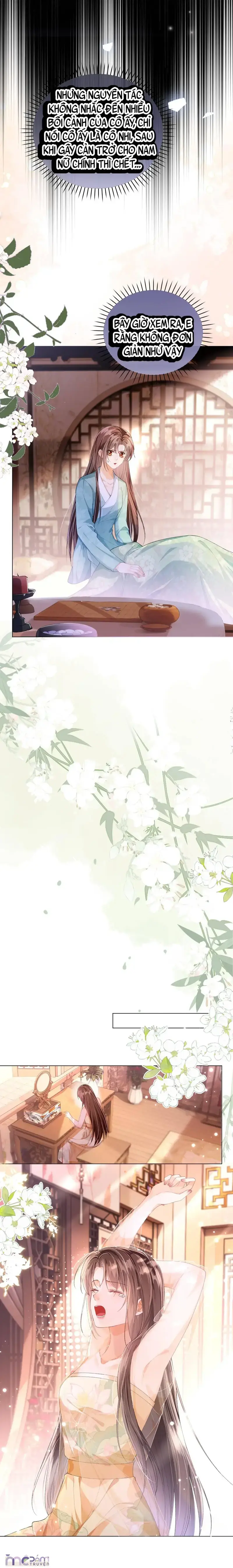 Nữ Phụ Không Muốn Nhân Vật Chính Chia Tay Chapter 15 - Trang 11