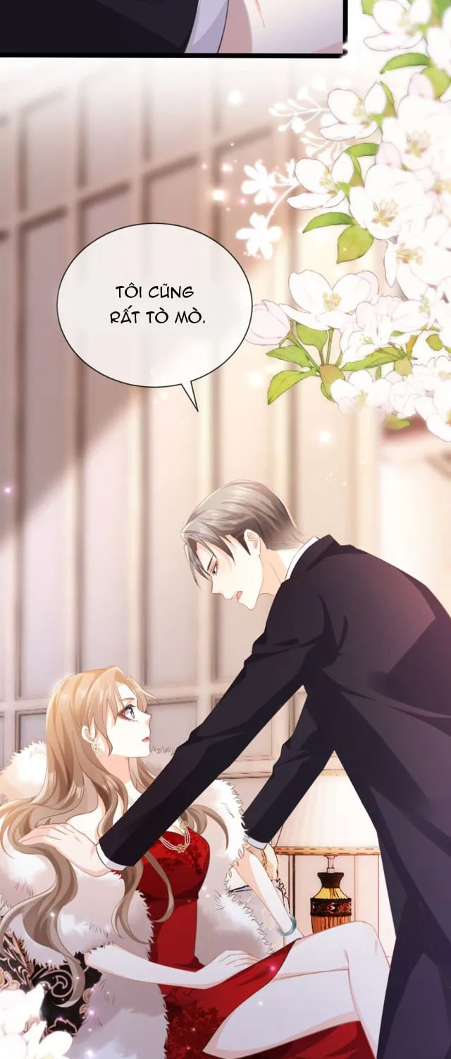 Nữ phụ tiểu thuyết cẩu huyết, cô không làm nữa Chapter 2 - Trang 21
