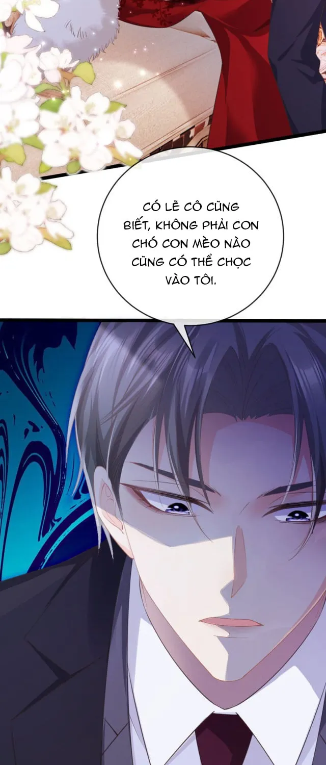 Nữ phụ tiểu thuyết cẩu huyết, cô không làm nữa Chapter 2 - Trang 22