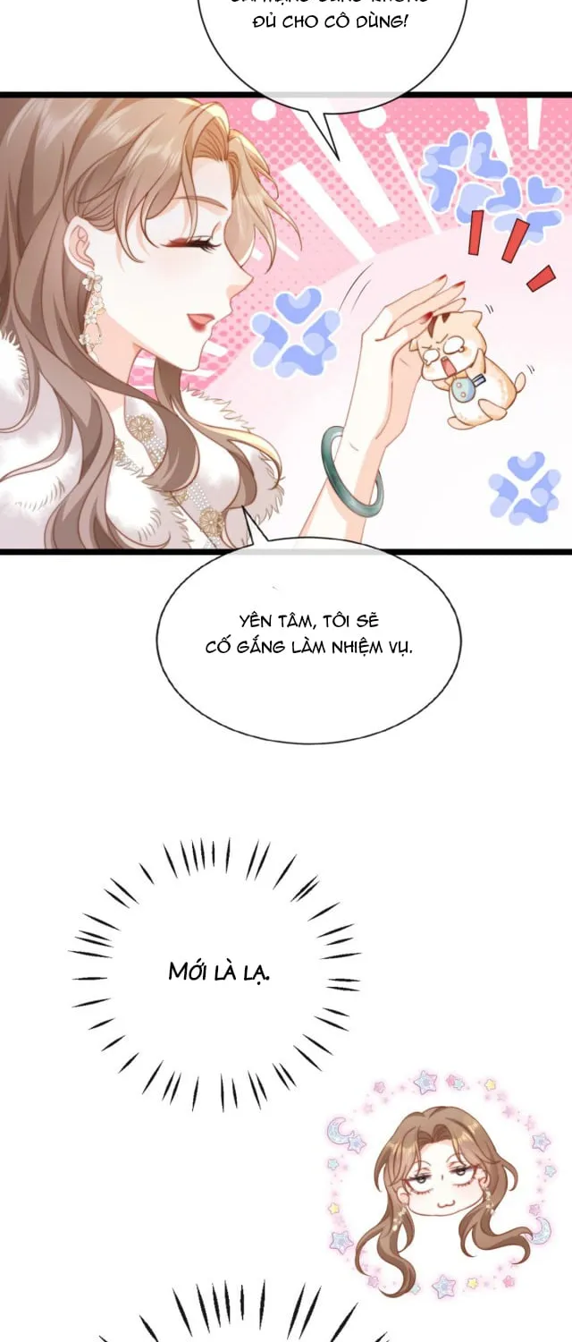 Nữ phụ tiểu thuyết cẩu huyết, cô không làm nữa Chapter 3 - Trang 3