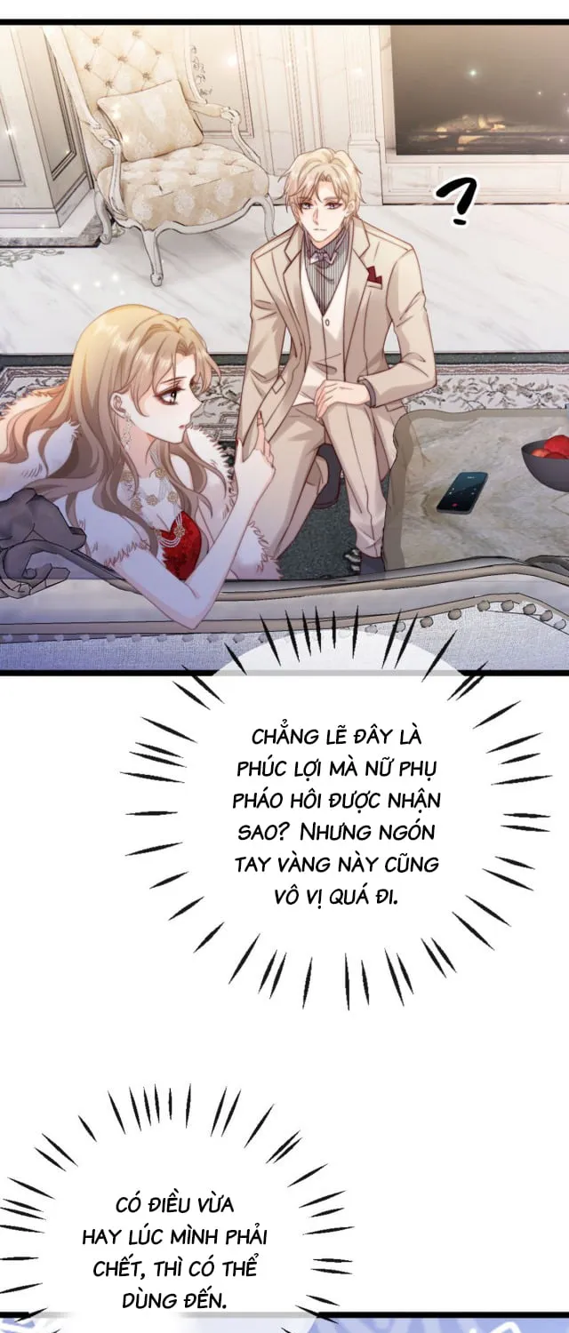 Nữ phụ tiểu thuyết cẩu huyết, cô không làm nữa Chapter 3 - Trang 31