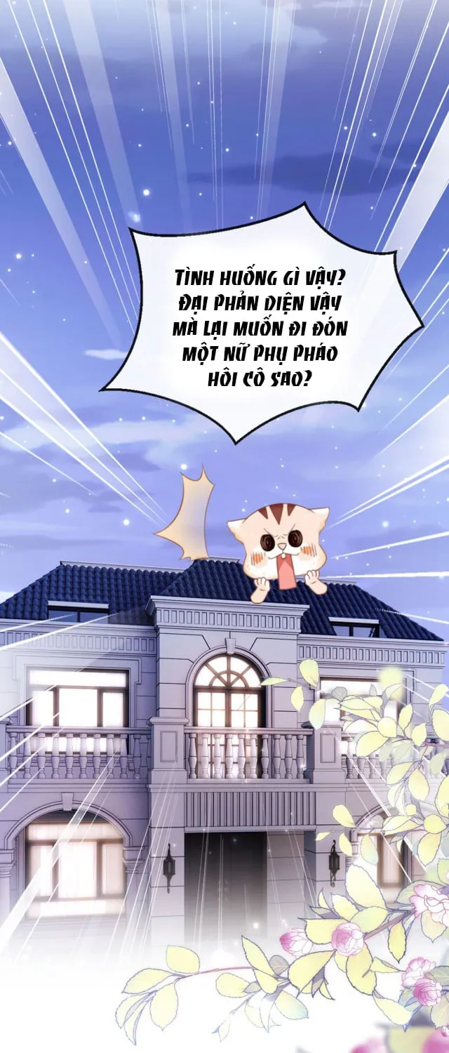 Nữ phụ tiểu thuyết cẩu huyết, cô không làm nữa Chapter 3 - Trang 40