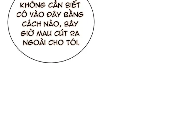 Nữ phụ tiểu thuyết cẩu huyết, cô không làm nữa Chapter 5 - Trang 16