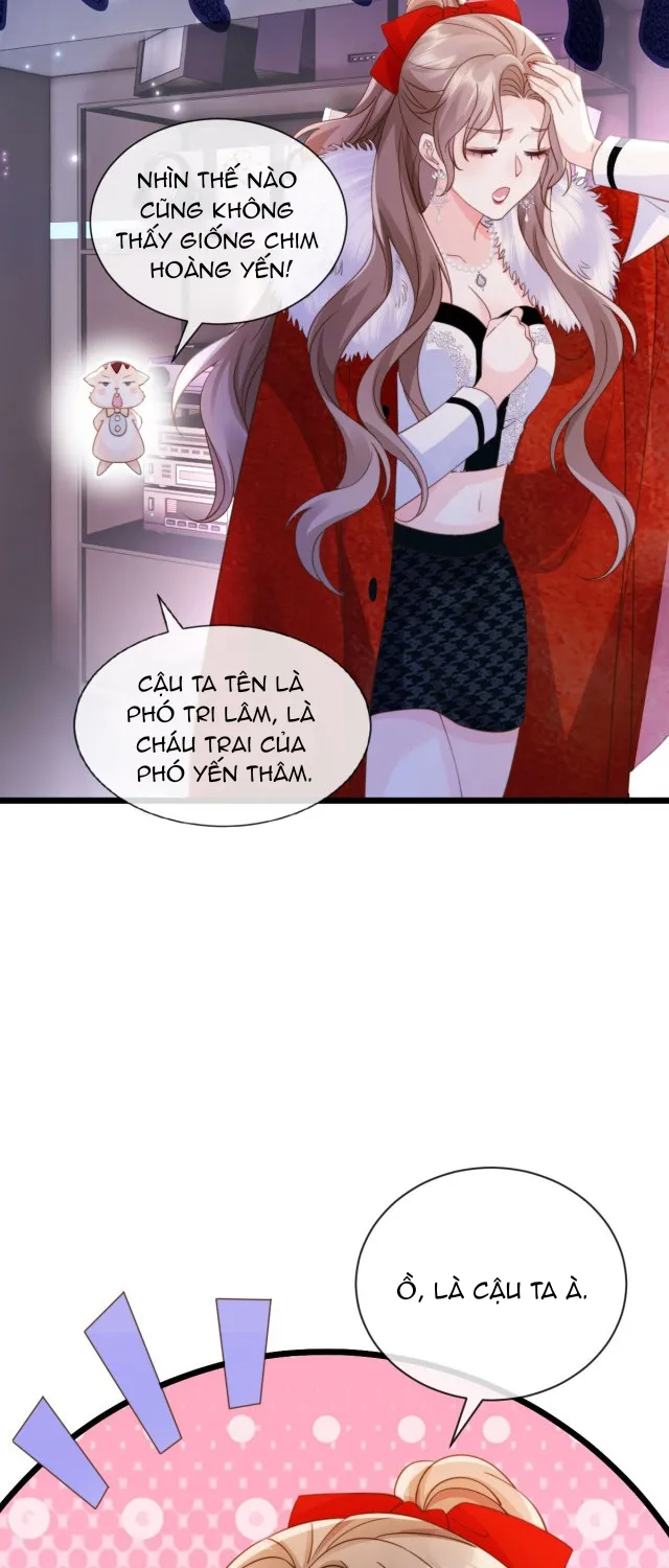 Nữ phụ tiểu thuyết cẩu huyết, cô không làm nữa Chapter 5 - Trang 7