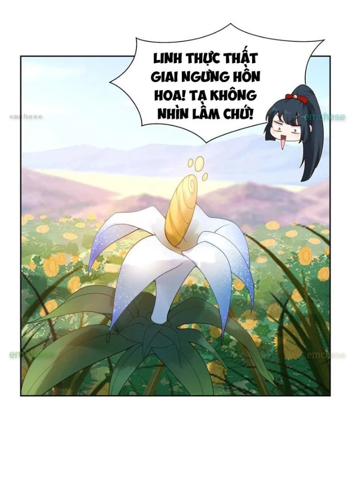 Nữ phụ tu tiên từ chối kịch bản làm pháo hôi Chapter 12 - Trang 14
