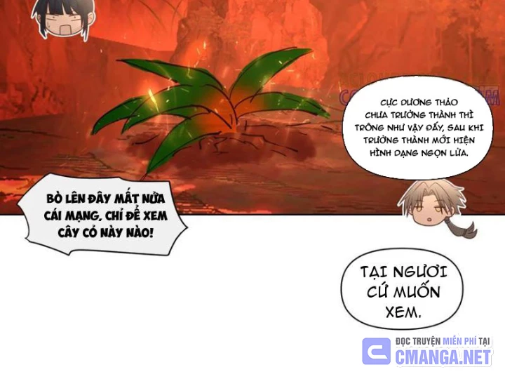 Nữ phụ tu tiên từ chối kịch bản làm pháo hôi Chapter 14 - Trang 22