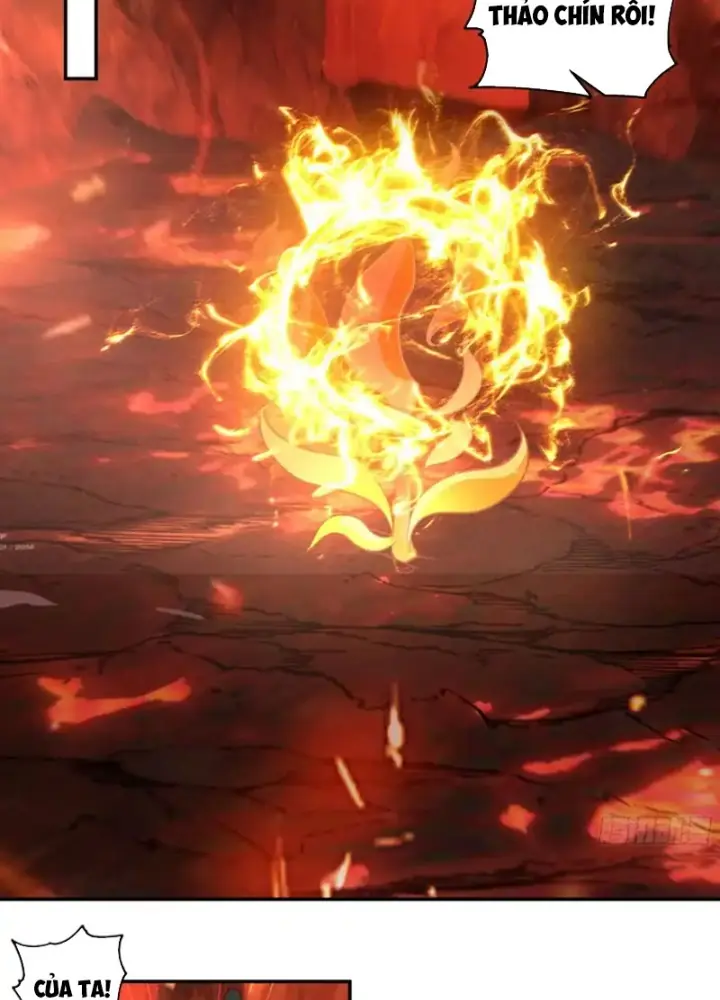 Nữ phụ tu tiên từ chối kịch bản làm pháo hôi Chapter 29 - Trang 38