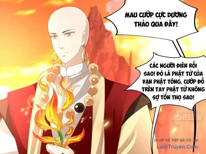Nữ phụ tu tiên từ chối kịch bản làm pháo hôi Chapter 30 - Trang 11