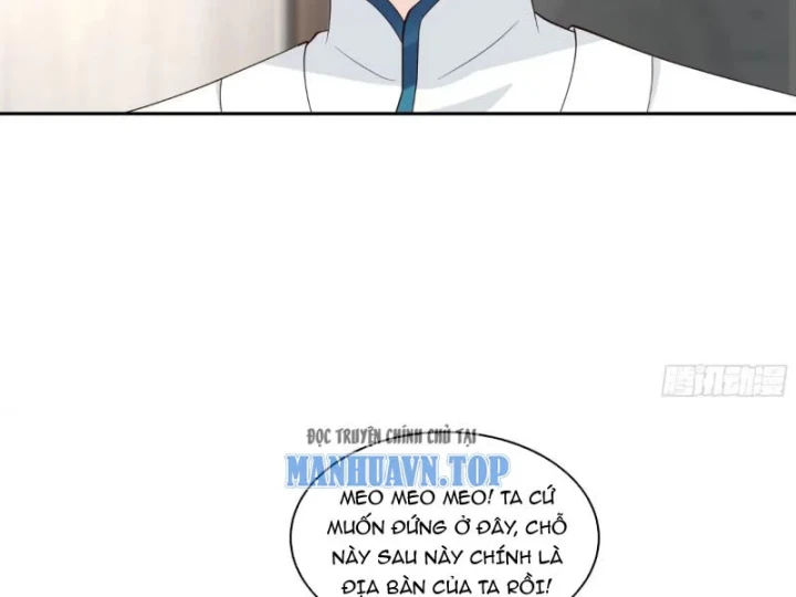 Nữ phụ tu tiên từ chối kịch bản làm pháo hôi Chapter 36 - Trang 11