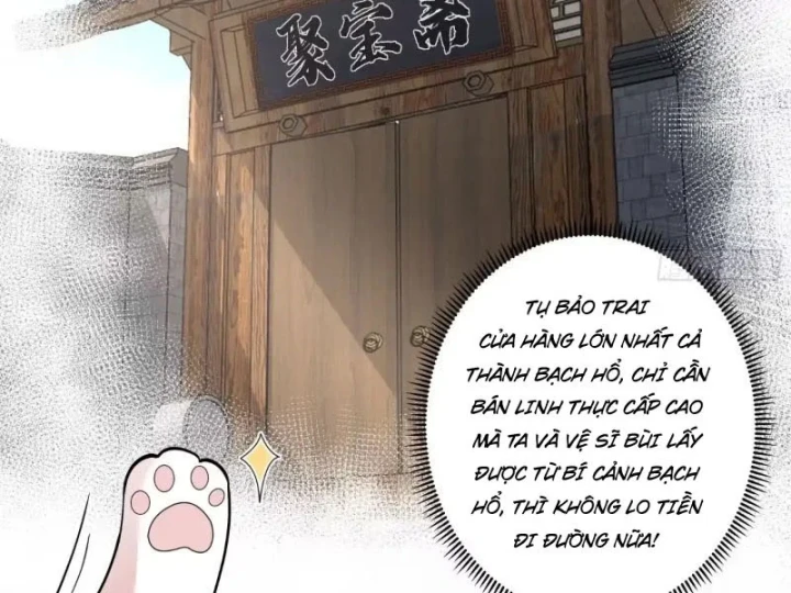 Nữ phụ tu tiên từ chối kịch bản làm pháo hôi Chapter 36 - Trang 15