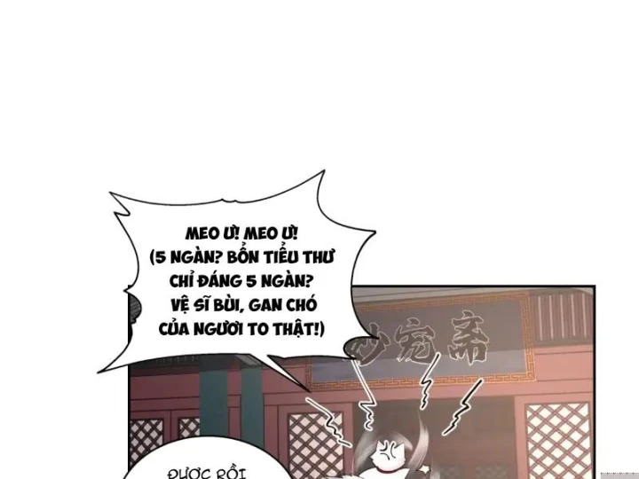 Nữ phụ tu tiên từ chối kịch bản làm pháo hôi Chapter 36 - Trang 32
