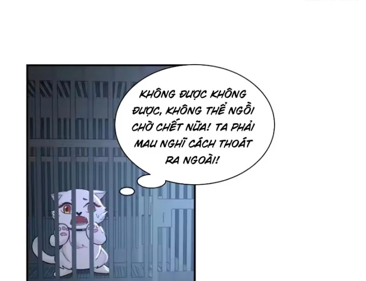 Nữ phụ tu tiên từ chối kịch bản làm pháo hôi Chapter 39 - Trang 27