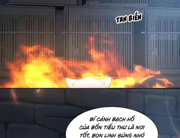 Nữ phụ tu tiên từ chối kịch bản làm pháo hôi Chapter 39 - Trang 34