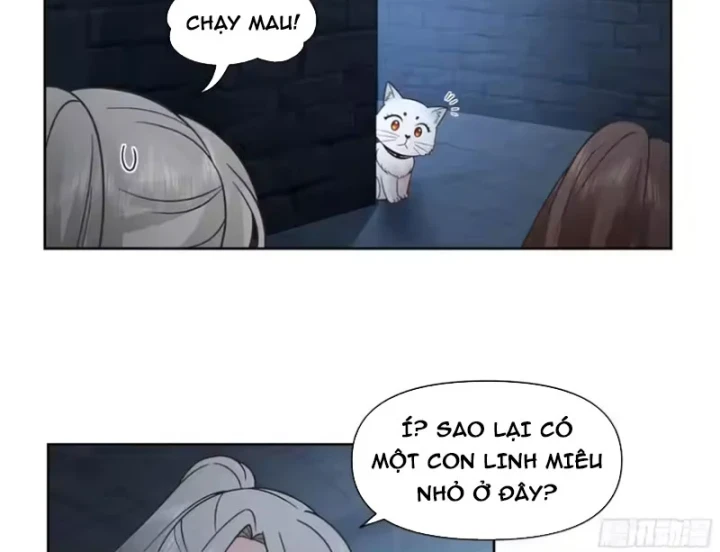 Nữ phụ tu tiên từ chối kịch bản làm pháo hôi Chapter 40 - Trang 38