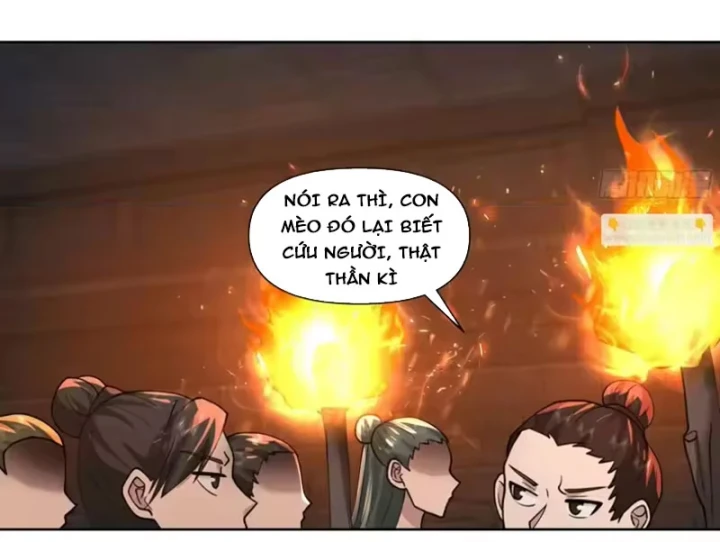 Nữ phụ tu tiên từ chối kịch bản làm pháo hôi Chapter 40 - Trang 50