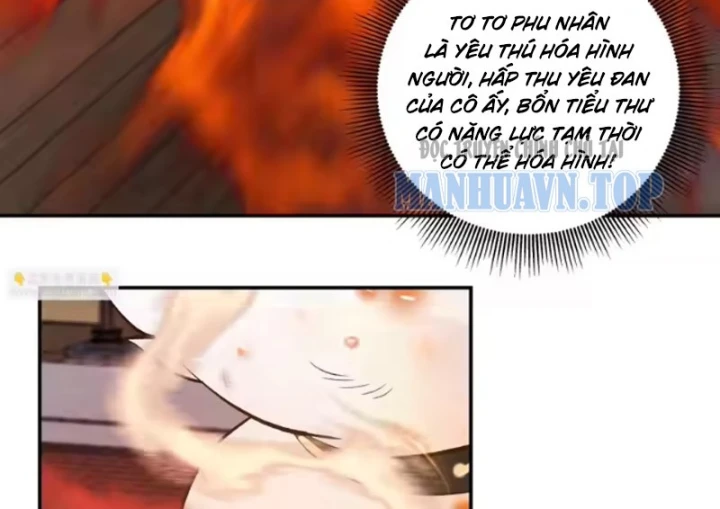 Nữ phụ tu tiên từ chối kịch bản làm pháo hôi Chapter 42 - Trang 31