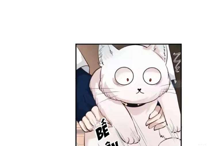 Nữ phụ tu tiên từ chối kịch bản làm pháo hôi Chapter 42 - Trang 36