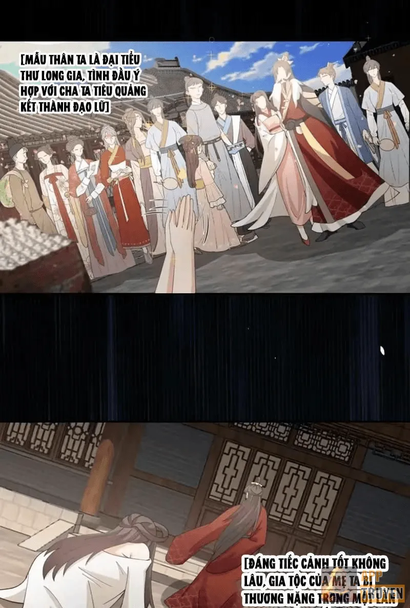 Nữ phụ tu tiên từ chối kịch bản làm pháo hôi Chapter 43 - Trang 29