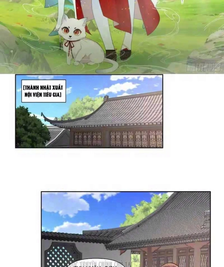 Nữ phụ tu tiên từ chối kịch bản làm pháo hôi Chapter 44 - Trang 3