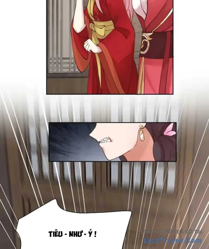 Nữ phụ tu tiên từ chối kịch bản làm pháo hôi Chapter 46 - Trang 25