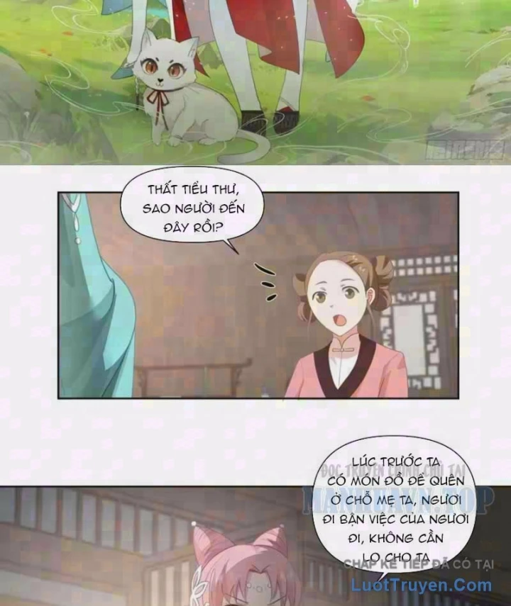 Nữ phụ tu tiên từ chối kịch bản làm pháo hôi Chapter 46 - Trang 3